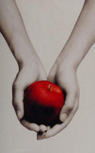 Twilight (Pocket) - Bokia.no