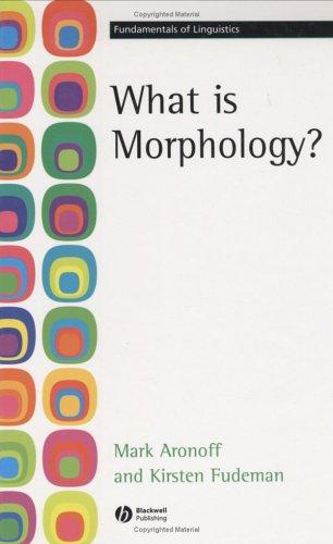 What is Morphology? - Bokia.no