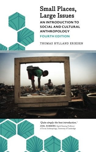 Small Places, Large Issues: An Introduction to Social and Cultural Anthropology - Bokia.no