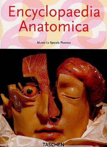 Encyclopaedia anatomica (Pocket) - Bokia.no