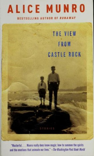 The view from Castle Rock (Pocket) - Bokia.no