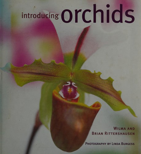 Introducing Orchids