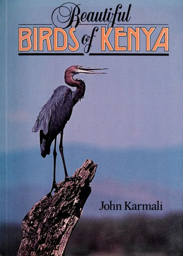 Beautiful Birds of Kenya