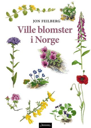 Ville blomster i Norge 9788203392146 Jon Feilberg Brukte bøker