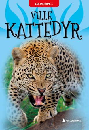 Ville kattedyr 9788205555112 Sarah Snashall Brukte bøker