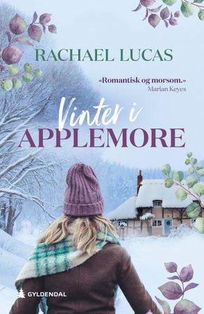 Vinter i Applemore 9788205607477 Rachael Lucas Brukte bøker