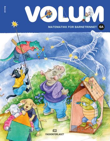 Volum 6A 9788211039569 Morten Johannessen Audun Rojahn Olafsen Åse Marie Bugten Brukte bøker