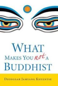 What Makes You Not a Buddhist 9781590304068 Khyentse Dzongsar Jamyang Brukte bøker