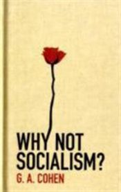 Why Not Socialism? 9780691143613 G. A. Cohen Brukte bøker