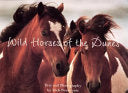 Wild Horses Of The Dunes 9780762417759 Rich Pomerantz Brukte bøker