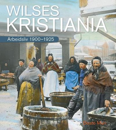 Wilses Kristiania 9788244201575 Beate Muri Brukte bøker