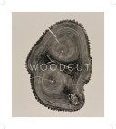 Woodcut (The artwork of Bryan Nash Gill) 9781616890483 Bryan Nash Gill Brukte bøker