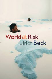 World at Risk 9780745642017 Ulrich Beck Brukte bøker