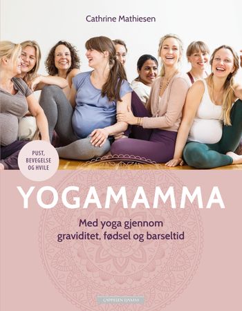 Yogamamma 9788202559236 Cathrine Mathiesen Brukte bøker