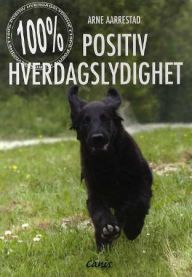 100 % positiv hverdagslydighet