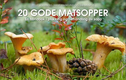 20 gode matsopper