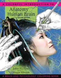 A Colorful Introduction to the Anatomy of the Human Brain: A Brain and Psycho…