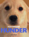 Alle verdens hunder