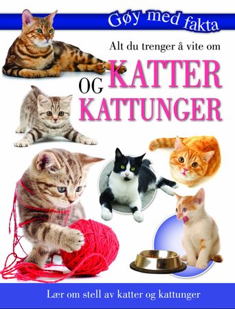 Alt du trenger å vite om katter og kattunger