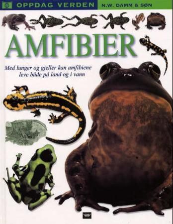 Amfibier