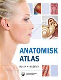 Anatomisk atlas: norsk, engelsk