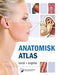 Anatomisk atlas: norsk, engelsk