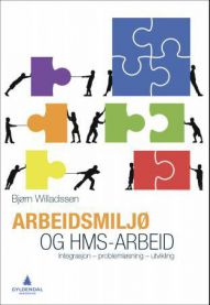 Arbeidsmiljø og HMS-arbeid : integrasjon, problemløsning, utvikling