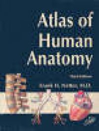Atlas of human anatomy