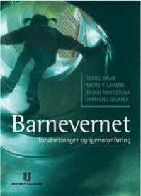 Barnevernet: forutsetninger og gjennomføring
