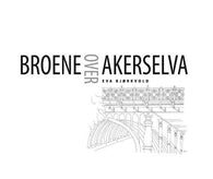 Broene over Akerselva