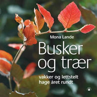 Busker og trær