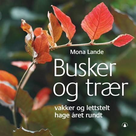 Busker og trær