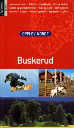 Buskerud