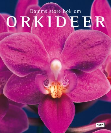 Damms store bok om orkideer