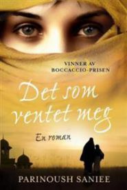 Bokomslag for "Det som ventet meg" av Bokia.no, innbundet bok om geografi kvalifikatorer, med tittel og grafisk design.