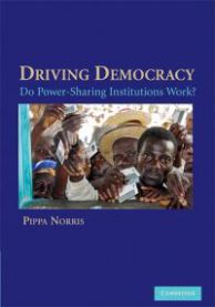 Driving Democracy: Do Power-Sharing Institutions Work?