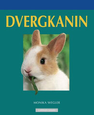 Dvergkanin