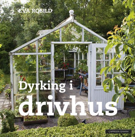 Dyrking i drivhus