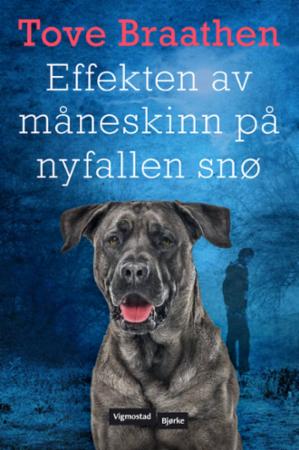 Effekten av måneskinn på nyfallen snø