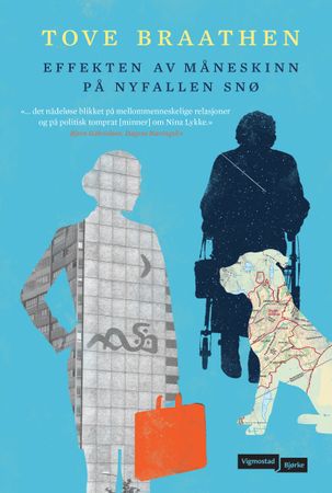 Effekten av måneskinn på nyfallen snø