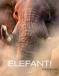 Elefant!