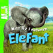 Elefant