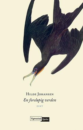 En foreløpig verden