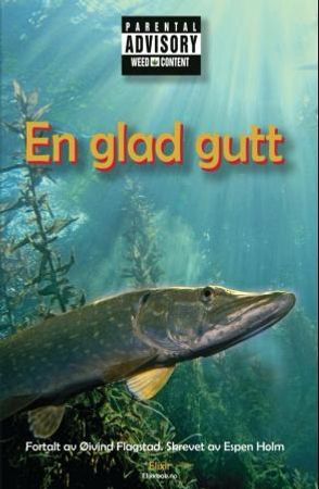 En glad gutt