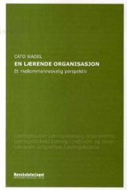 En lærende organisasjon: et mellommenneskelig perspektiv