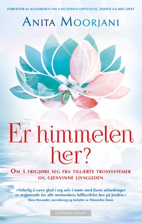 Er himmelen her?