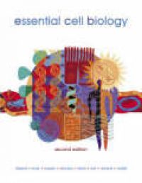 Essential Cell Biology [With W/CDROM]
