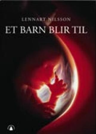 Et barn blir til