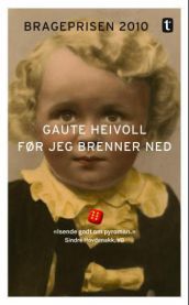 Før jeg brenner ned: roman