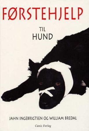 Førstehjelp til hund